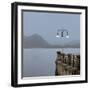 Lake Vista VI-Alan Blaustein-Framed Photographic Print