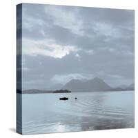 Lake Vista VII-Alan Blaustein-Stretched Canvas