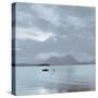 Lake Vista VII-Alan Blaustein-Stretched Canvas