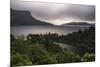 Lake Waikaremoana, Te Urewera, Eastland, North Island, New Zealand, Pacific-Matthew Williams-Ellis-Mounted Photographic Print