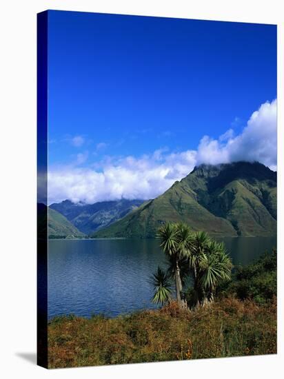 Lake Wakatipu and Mount Hector-Leslie Richard Jacobs-Stretched Canvas