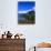 Lake Wakatipu and Mount Hector-Leslie Richard Jacobs-Photographic Print displayed on a wall