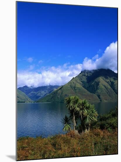 Lake Wakatipu and Mount Hector-Leslie Richard Jacobs-Mounted Photographic Print