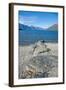 Lake Wakatipu at Queenstown, Otago, South Island, New Zealand, Pacific-Matthew Williams-Ellis-Framed Photographic Print