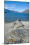 Lake Wakatipu at Queenstown, Otago, South Island, New Zealand, Pacific-Matthew Williams-Ellis-Mounted Photographic Print