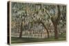 Lake Wales, FL - Outdoor View of Shuffleboard Court-Lantern Press-Stretched Canvas