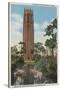 Lake Wales, FL - View of Singing Tower & Flamingos-Lantern Press-Stretched Canvas