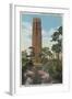 Lake Wales, FL - View of Singing Tower & Flamingos-Lantern Press-Framed Art Print