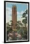 Lake Wales, FL - View of Singing Tower & Flamingos-Lantern Press-Framed Art Print