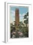 Lake Wales, FL - View of Singing Tower & Flamingos-Lantern Press-Framed Premium Giclee Print