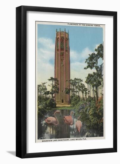 Lake Wales, FL - View of Singing Tower & Flamingos-Lantern Press-Framed Art Print