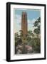 Lake Wales, FL - View of Singing Tower & Flamingos-Lantern Press-Framed Art Print