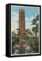 Lake Wales, FL - View of Singing Tower & Flamingos-Lantern Press-Framed Stretched Canvas