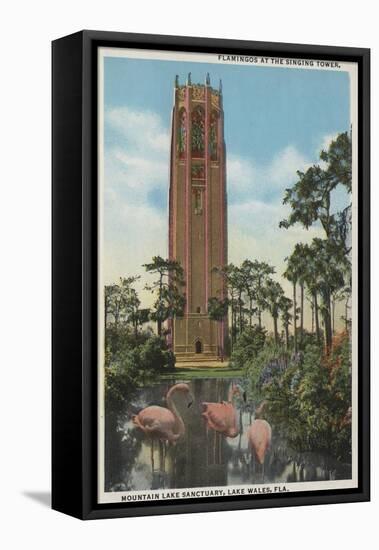 Lake Wales, FL - View of Singing Tower & Flamingos-Lantern Press-Framed Stretched Canvas