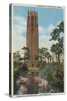 Lake Wales, FL - View of Singing Tower & Flamingos-Lantern Press-Stretched Canvas