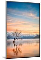 Lake Wanaka Otago New Zealand-travellinglight-Mounted Photographic Print