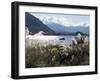 Lake Wanaka, Otago, South Island, New Zealand-Adam Woolfitt-Framed Photographic Print
