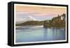 Lake Washington Boulevard and Mt. Rainier, Washington-null-Framed Stretched Canvas