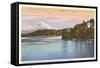 Lake Washington Boulevard and Mt. Rainier, Washington-null-Framed Stretched Canvas