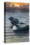 Lake Waukewan, New Hampshire - Loon Scene-Lantern Press-Stretched Canvas