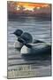 Lake Waukewan, New Hampshire - Loon Scene-Lantern Press-Mounted Art Print