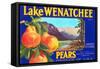 Lake Wenatchee Pear Label-null-Framed Stretched Canvas