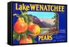 Lake Wenatchee Pear Label-null-Framed Stretched Canvas
