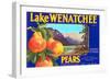 Lake Wenatchee Pear Label-null-Framed Art Print