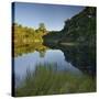 Lake Wilkie, Catlins, Otago, South Island, New Zealand-Rainer Mirau-Stretched Canvas