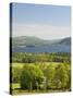 Lake Windermere, Lake District National Park, Cumbria, England, United Kingdom-James Emmerson-Stretched Canvas