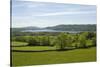 Lake Windermere, Lake District National Park, Cumbria, England, United Kingdom-James Emmerson-Stretched Canvas