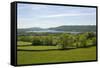 Lake Windermere, Lake District National Park, Cumbria, England, United Kingdom-James Emmerson-Framed Stretched Canvas