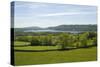 Lake Windermere, Lake District National Park, Cumbria, England, United Kingdom-James Emmerson-Stretched Canvas