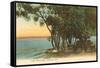 Lake Winnebago, Oshkosh, Wisconsin-null-Framed Stretched Canvas