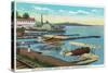 Lake Winnepesaukee, New Hampshire - Seaplanes at the Weirs-Lantern Press-Stretched Canvas