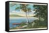 Lake Winnipesaukee, New Hampshire-null-Framed Stretched Canvas