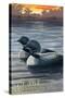 Lake Winnisquam, New Hampshire - Loon Scene-Lantern Press-Stretched Canvas