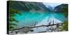 Lake with Canadian Rockies in the Background, Lake Louise, Banff National Park, Alberta, Canada-null-Stretched Canvas