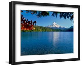 Lake with mountain in the background, Mt Hood, Lost Lake, Mt Hood National Forest, Hood River Co...-null-Framed Photographic Print