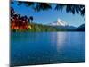 Lake with mountain in the background, Mt Hood, Lost Lake, Mt Hood National Forest, Hood River Co...-null-Mounted Photographic Print