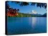 Lake with mountain in the background, Mt Hood, Lost Lake, Mt Hood National Forest, Hood River Co...-null-Stretched Canvas