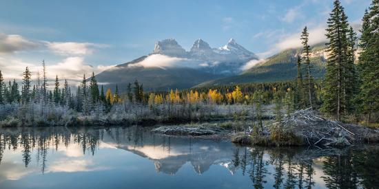 Premium Photographic Print, , large