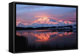 Lake with Mt McKinley, Denali National Park and Preserve, Alaska, USA-Hugh Rose-Framed Stretched Canvas