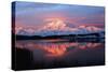 Lake with Mt McKinley, Denali National Park and Preserve, Alaska, USA-Hugh Rose-Stretched Canvas