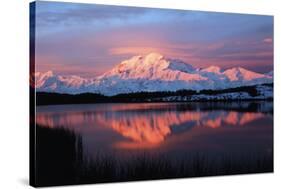 Lake with Mt McKinley, Denali National Park and Preserve, Alaska, USA-Hugh Rose-Stretched Canvas