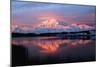 Lake with Mt McKinley, Denali National Park and Preserve, Alaska, USA-Hugh Rose-Mounted Photographic Print
