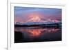 Lake with Mt McKinley, Denali National Park and Preserve, Alaska, USA-Hugh Rose-Framed Photographic Print