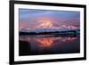 Lake with Mt McKinley, Denali National Park and Preserve, Alaska, USA-Hugh Rose-Framed Photographic Print