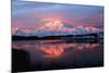 Lake with Mt McKinley, Denali National Park and Preserve, Alaska, USA-Hugh Rose-Mounted Photographic Print