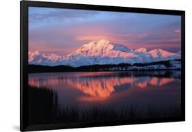 Lake with Mt McKinley, Denali National Park and Preserve, Alaska, USA-Hugh Rose-Framed Photographic Print